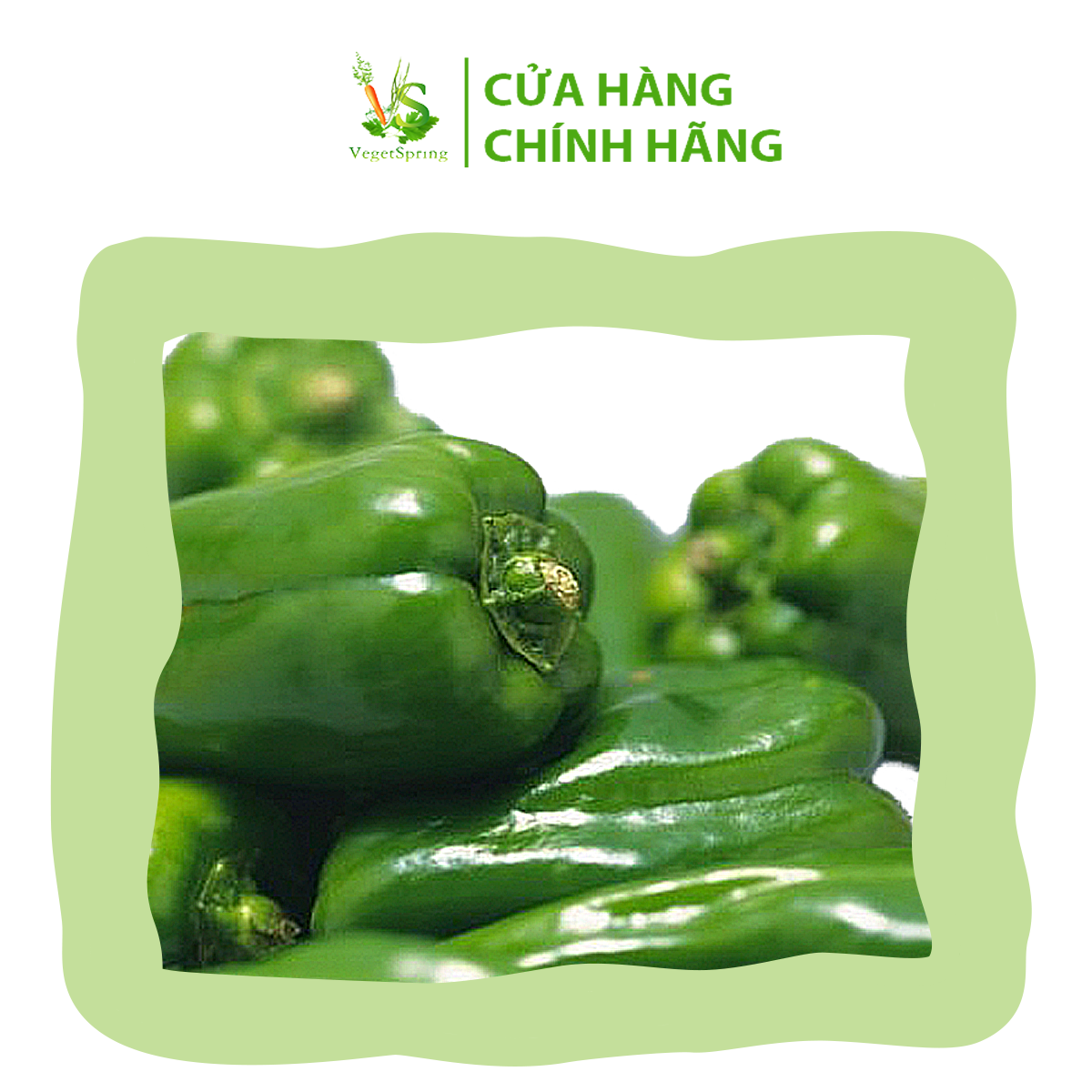 Ớt Chuông Xanh 100g