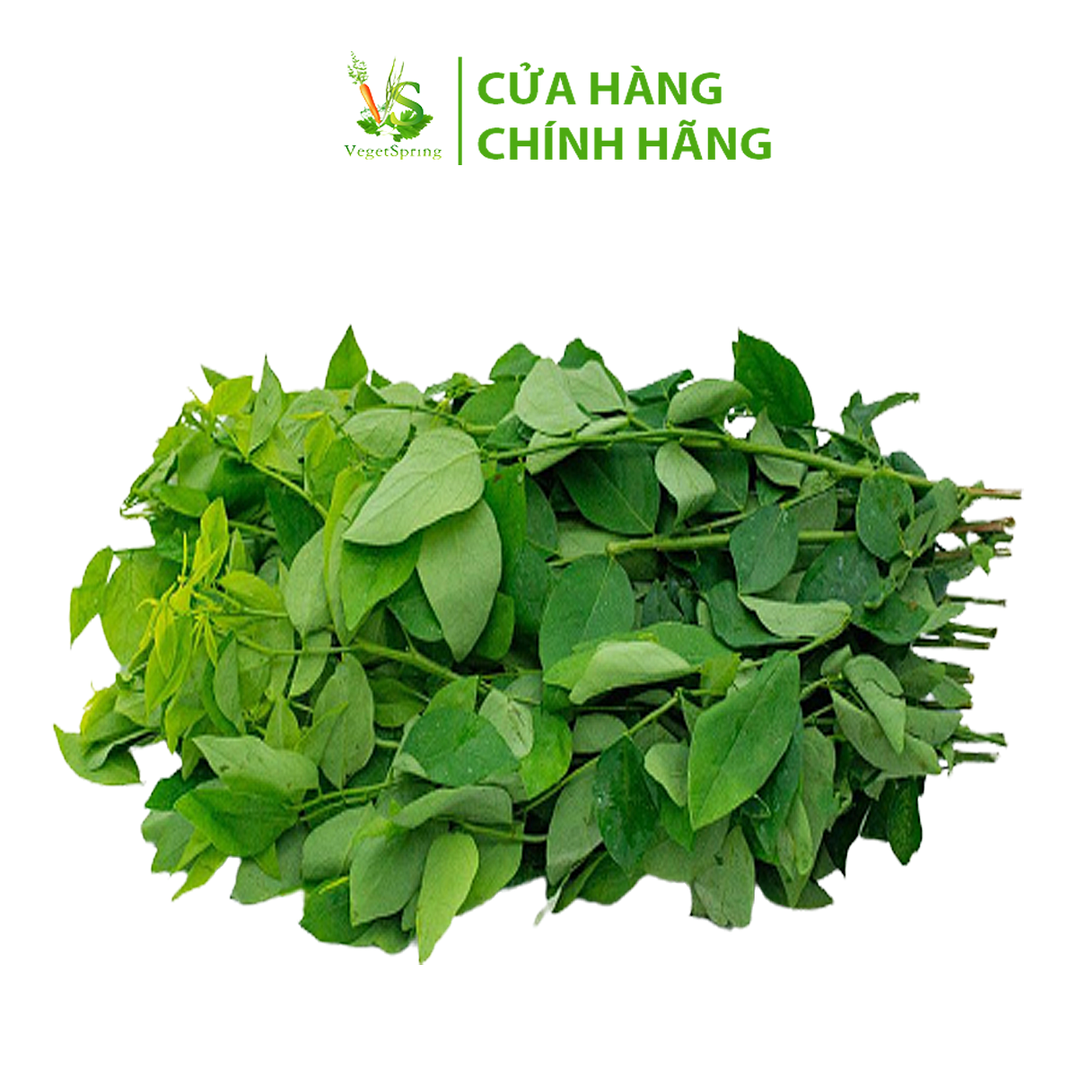 Rau Bồ Ngót 200g